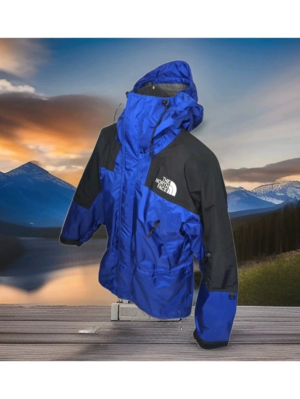 Vintage 90s The North Face Gore-Tex Ski Jacket Gorpcore Mens Small Hood Shell Bl